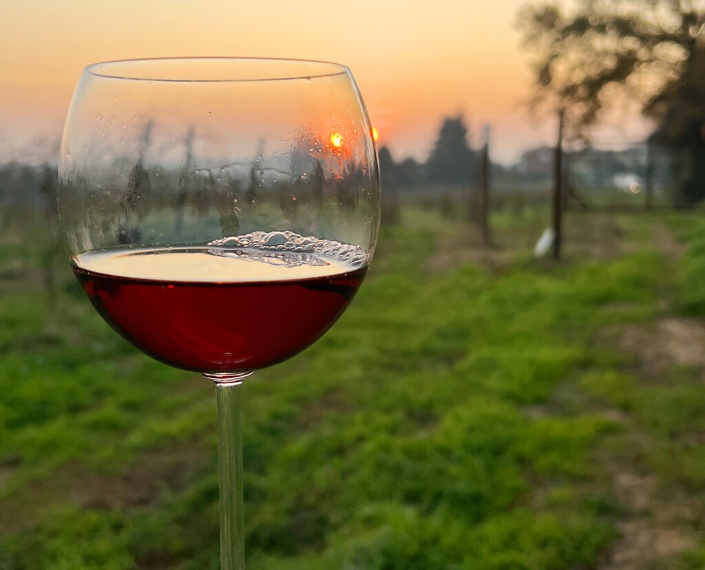 Vino